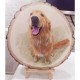 Custom Pet Portrait Wood Slice Painting, Personalized Home Desk Decor Dog Cat Portrait Wood Slice, Pet Memorial Decor, Dog / Cat Portrait Office Decor