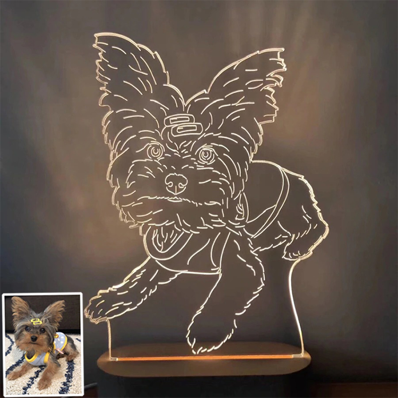 Personalized Photo 3D Lamp, Customized Night Light,  Best Wedding, Anniversary,Birthday Or Valentine's Day Gift for Pet Lovers
