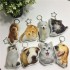 Custom Pet Photo PP Fabric Keychain, Custom Double-sided Dog / Cat Image Polypropylene Ornament, Cute Accessory For Backpack, Wallet & Handbag